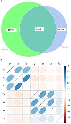 Comparison of the gut microbiome and resistome in captive African and Asian elephants on the same diet